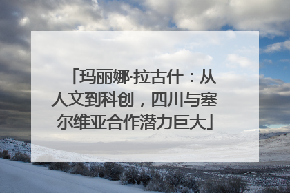 玛丽娜·拉古什：从人文到科创，四川与塞尔维亚合作潜力巨大