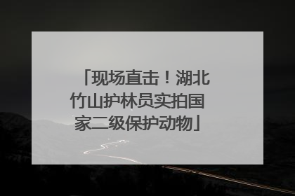 现场直击！湖北竹山护林员实拍国家二级保护动物