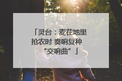 灵台：麦茬地里抢农时 奏响复种“交响曲”