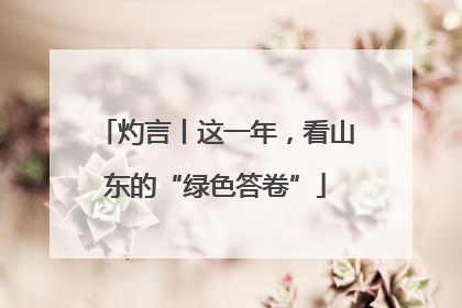 灼言丨这一年，看山东的“绿色答卷”