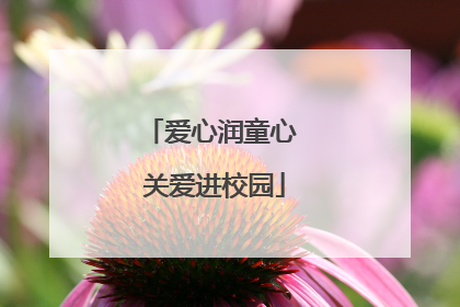 爱心润童心 关爱进校园