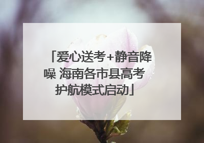 爱心送考+静音降噪 海南各市县高考护航模式启动