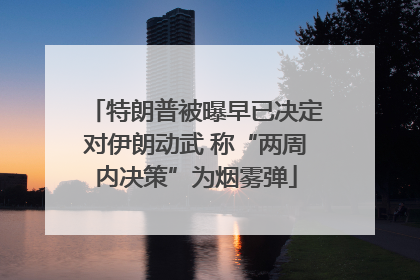 特朗普被曝早已决定对伊朗动武 称“两周内决策”为烟雾弹