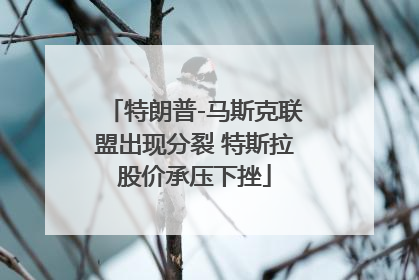 特朗普-马斯克联盟出现分裂 特斯拉股价承压下挫