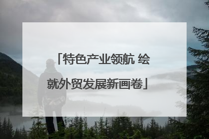 特色产业领航 绘就外贸发展新画卷