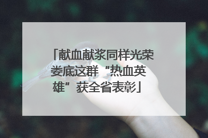献血献浆同样光荣 娄底这群“热血英雄”获全省表彰