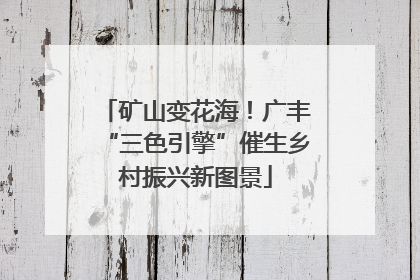 矿山变花海！广丰“三色引擎”催生乡村振兴新图景
