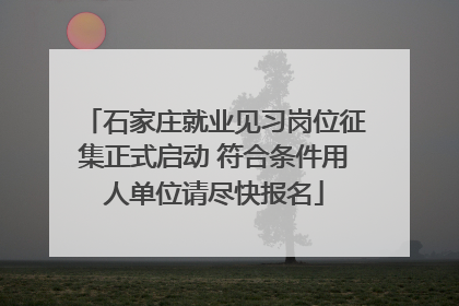 石家庄就业见习岗位征集正式启动 符合条件用人单位请尽快报名