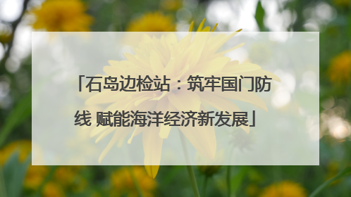 石岛边检站：筑牢国门防线 赋能海洋经济新发展