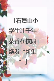 石景山小学生让千年茶香在校园焕发“新生”