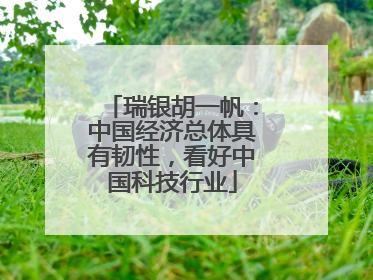 瑞银胡一帆：中国经济总体具有韧性，看好中国科技行业