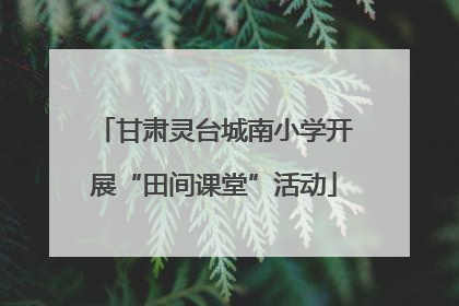 甘肃灵台城南小学开展“田间课堂”活动