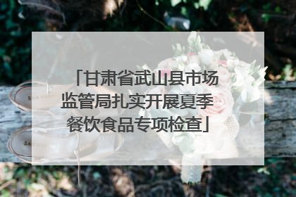 甘肃省武山县市场监管局扎实开展夏季餐饮食品专项检查