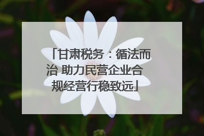 甘肃税务：循法而治 助力民营企业合规经营行稳致远