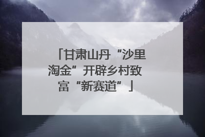 甘肃山丹“沙里淘金”开辟乡村致富“新赛道”