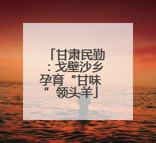 甘肃民勤：戈壁沙乡孕育“甘味”领头羊
