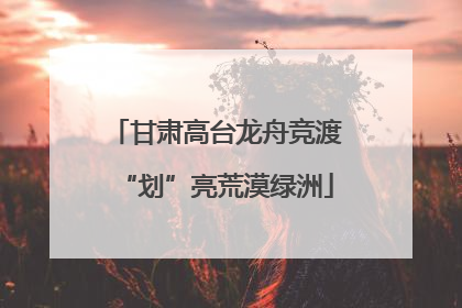 甘肃高台龙舟竞渡“划”亮荒漠绿洲