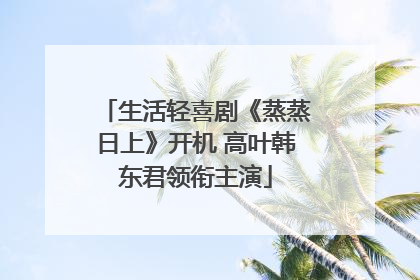 生活轻喜剧《蒸蒸日上》开机 高叶韩东君领衔主演