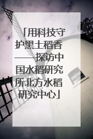 用科技守护黑土稻香——探访中国水稻研究所北方水稻研究中心