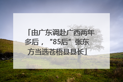 由广东调赴广西两年多后，“85后”张东方当选苍梧县县长