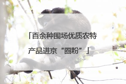 百余种围场优质农特产品进京“圈粉”