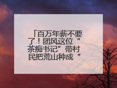 百万年薪不要了！团风这位“茶痴书记”带村民把荒山种成“绿色银行”