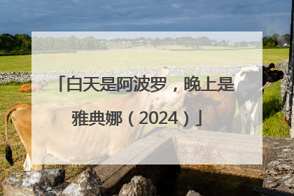 白天是阿波罗，晚上是雅典娜（2024）