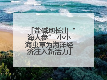 盐碱地长出“海人参” 小小海虫草为海洋经济注入新活力