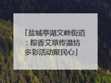 盐城亭湖文峰街道：粽香艾草传温情 多彩活动聚民心