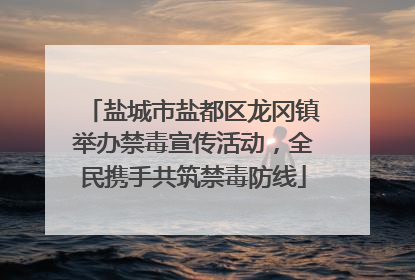 盐城市盐都区龙冈镇举办禁毒宣传活动，全民携手共筑禁毒防线