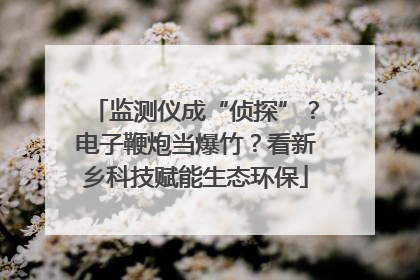 监测仪成“侦探”？电子鞭炮当爆竹？看新乡科技赋能生态环保