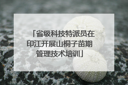省级科技特派员在印江开展山桐子苗期管理技术培训