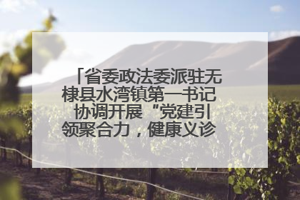 省委政法委派驻无棣县水湾镇第一书记 协调开展“党建引领聚合力，健康义诊惠乡亲”义诊活动