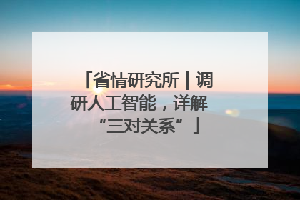 省情研究所｜调研人工智能，详解“三对关系”