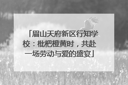 眉山天府新区行知学校：枇杷橙黄时，共赴一场劳动与爱的盛宴