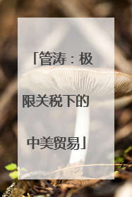 管涛：极限关税下的中美贸易