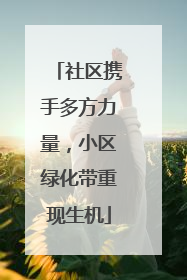 社区携手多方力量，小区绿化带重现生机