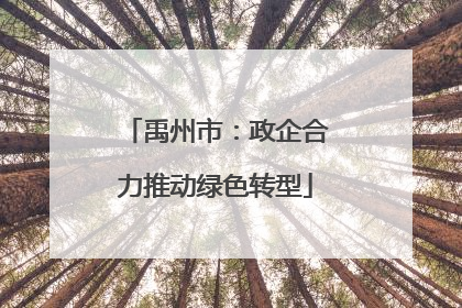 禹州市：政企合力推动绿色转型
