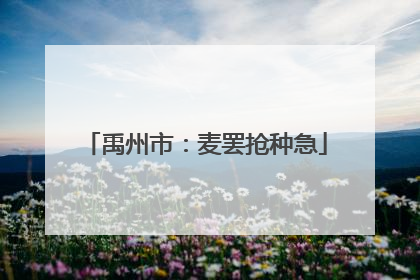 禹州市：麦罢抢种急