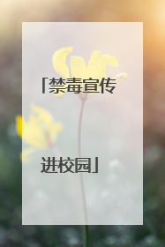 禁毒宣传进校园
