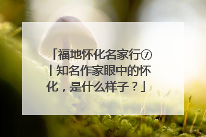 福地怀化名家行⑦丨知名作家眼中的怀化，是什么样子？