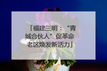 福建三明：“青城合伙人”促革命老区焕发新活力