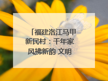 福建洛江马甲新民村：千年家风拂新韵 文明之花绽乡野