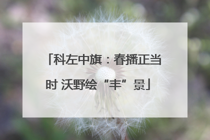 科左中旗：春播正当时 沃野绘“丰”景