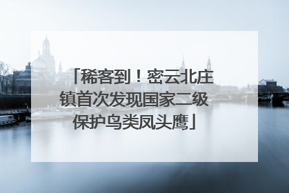 稀客到！密云北庄镇首次发现国家二级保护鸟类凤头鹰