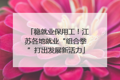 稳就业保用工！江苏各地就业“组合拳”打出发展新活力