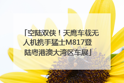 空陆双侠！天鹰车载无人机携手猛士M817登陆粤港澳大湾区车展