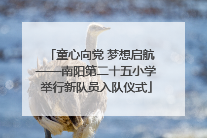 童心向党 梦想启航——南阳第二十五小学举行新队员入队仪式