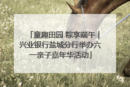童趣田园 粽享端午｜兴业银行盐城分行举办六一亲子嘉年华活动