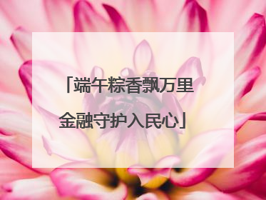 端午粽香飘万里 金融守护入民心